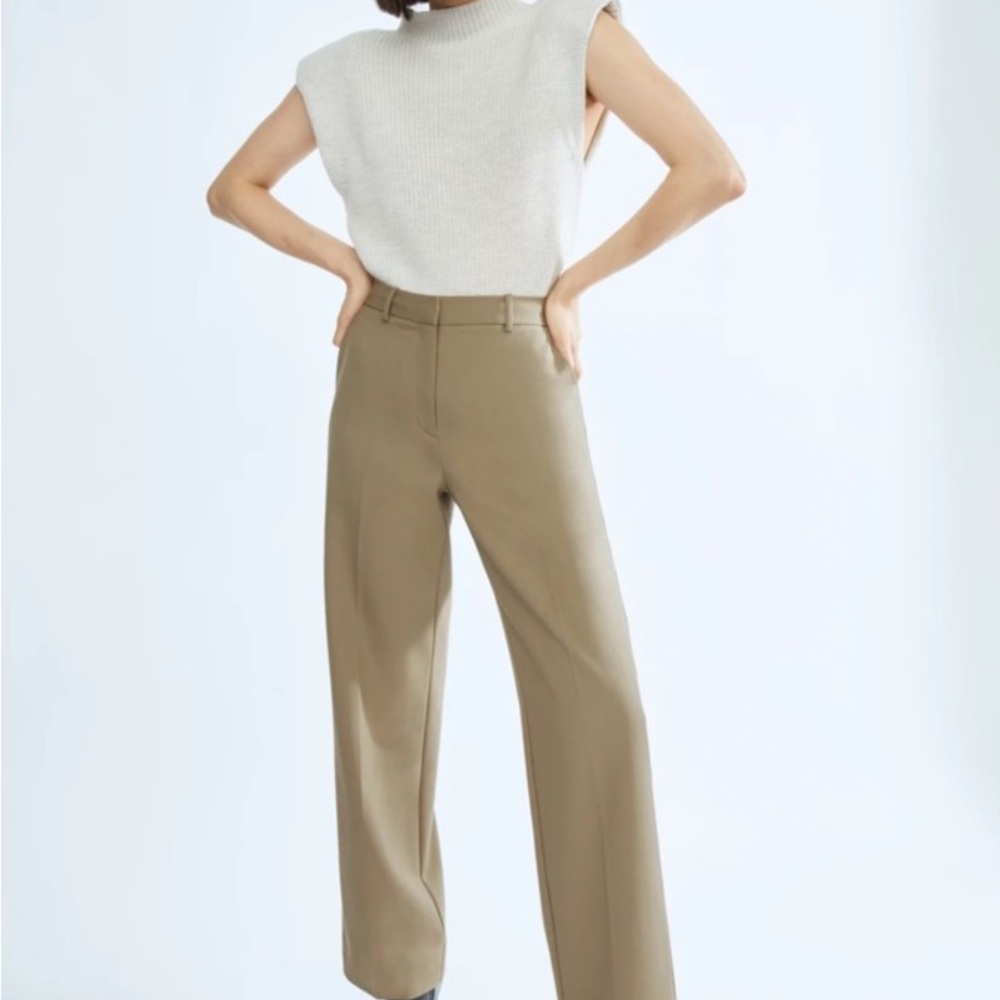 NWOT Babaton Agency Pants